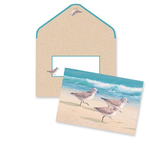 Boxed Notes - Sandpipers