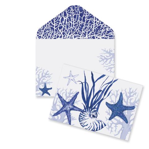 Boxed Notes - Blue Indigo Shells