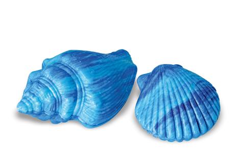 Novelty Soap - Turquoise Shells Assorted