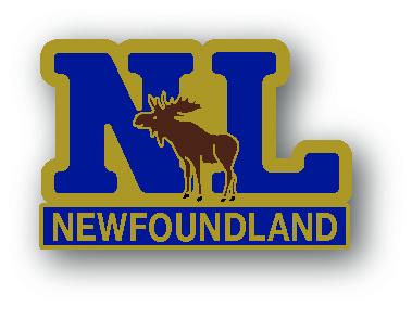 NL Newfoundland Lapel Pin