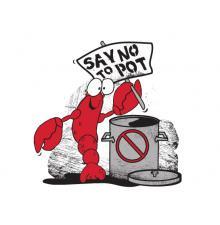 Say No To Pot