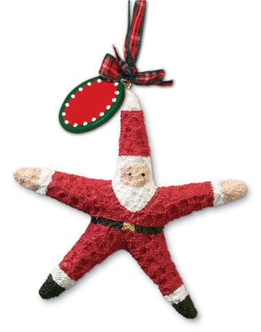 Resin Ornament - Santa Starfish