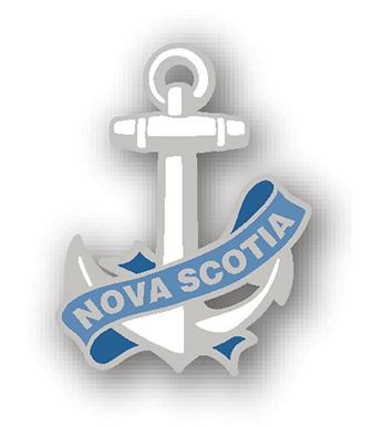 Anchor Banner NS Lapel Pin