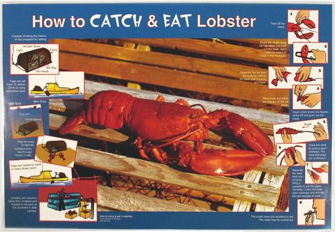 How to Catch & Eat a Lobster Placemat