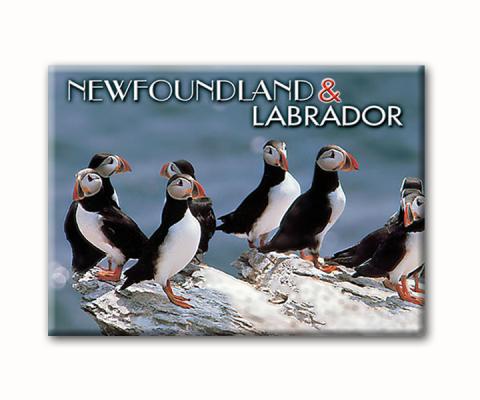 MGV2-NFD027 Magnet Large Photo