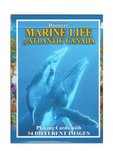 Marine Life Playing Cards