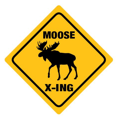 Moose Crossing Sticker