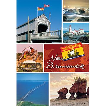 PC57-NB3854 Postcard 5X7