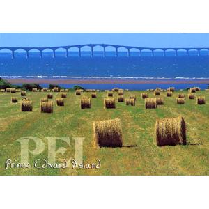 PC57-PEI100 Postcard 5X7