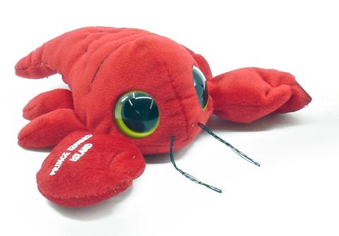 Big Eye Lobster 6 inch Prince Edward Island